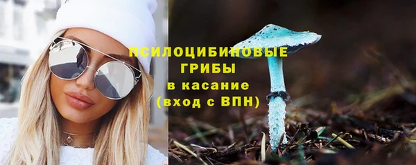 мет Нязепетровск