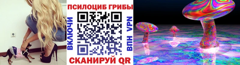дарнет шоп  Семикаракорск  Псилоцибиновые грибы MAGIC MUSHROOMS 